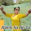 About Balek Na He Tu Song